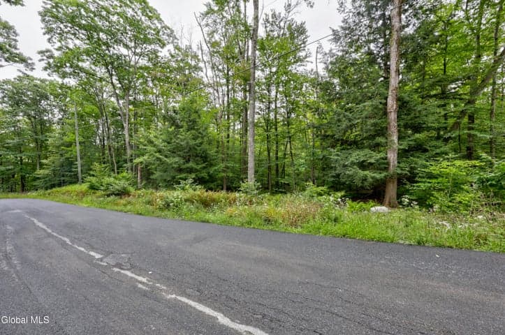 0 Walk Rd Road, Sand Lake, NY, photo 4