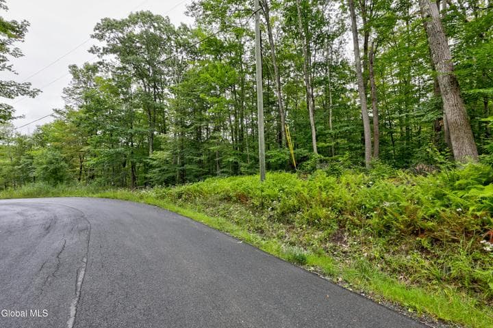 0 Walk Rd Road, Sand Lake, NY, photo 5