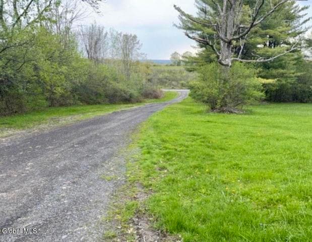 1027 Township Road, Knox, NY, photo 2