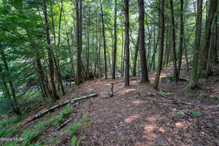 L11 North Shore Road, Edinburg, NY, photo 3