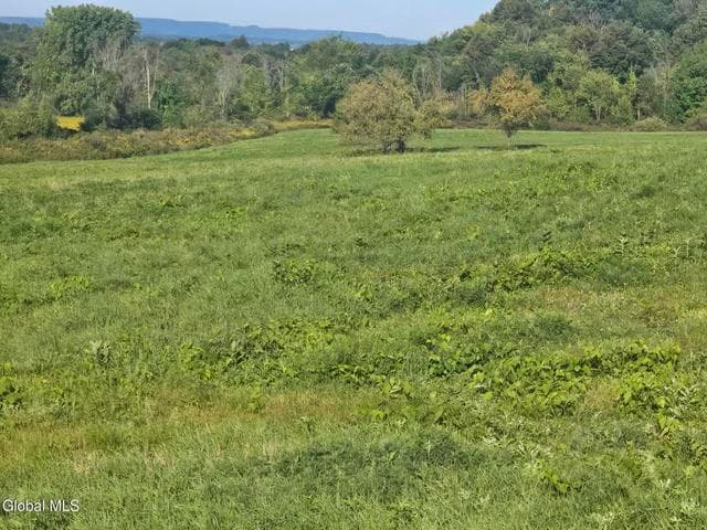 L5 Rappa Road, Root, NY, photo 5