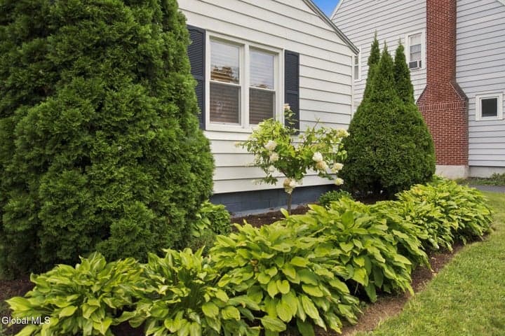 291 S Main Avenue, Albany, NY, photo 5