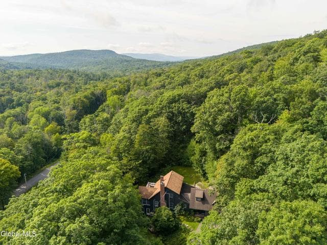 351 Dugway Road, Austerlitz, NY, photo 3