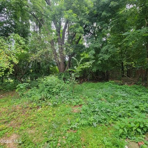 239 Colonie Street, Albany, NY, photo 5