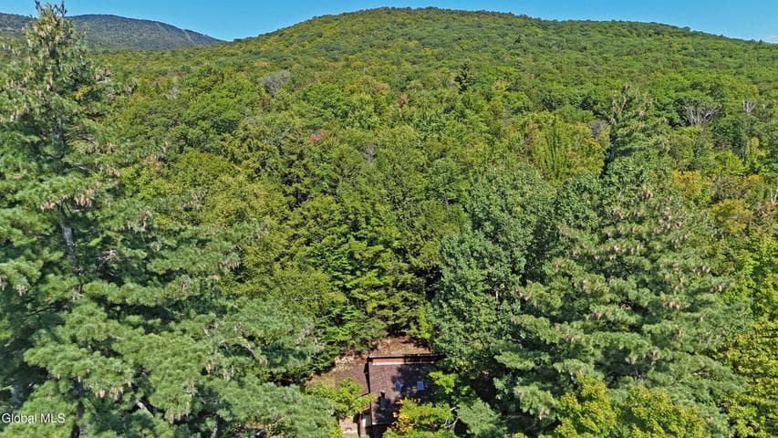 76 Iroquois Trail, Johnsburg, NY, photo 3