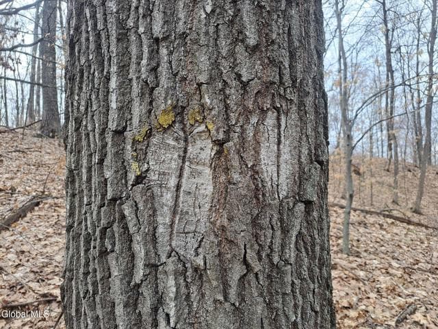 L 9.1 State Line Road, White Creek, NY, photo 5