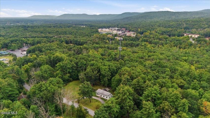 35 French Mountain Drive, Queensbury, NY, photo 3