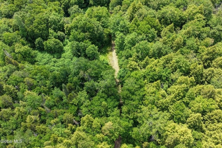 L13 Newkirks Lake Road, Caroga, NY, photo 1