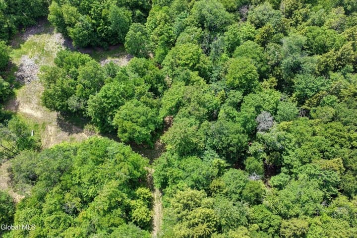 L13 Newkirks Lake Road, Caroga, NY, photo 2