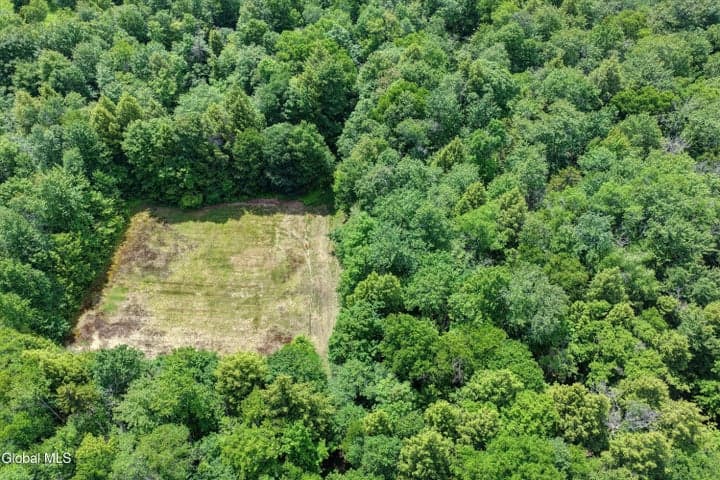 L13 Newkirks Lake Road, Caroga, NY, photo 3