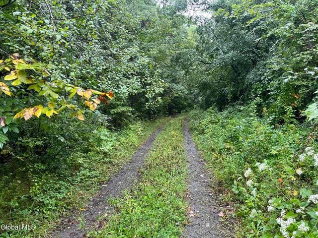 363 Closson Road, Glenville, NY, photo 4