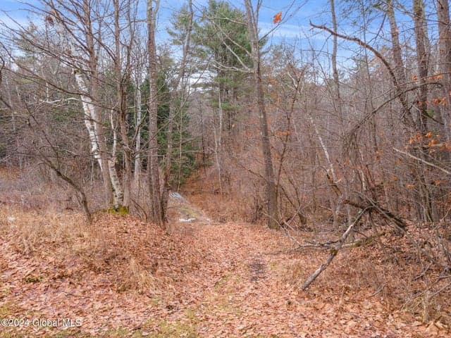 258 Engle Road, Schoharie, NY, photo 1