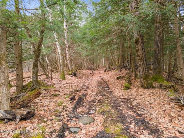 258 Engle Road, Schoharie, NY, photo 2