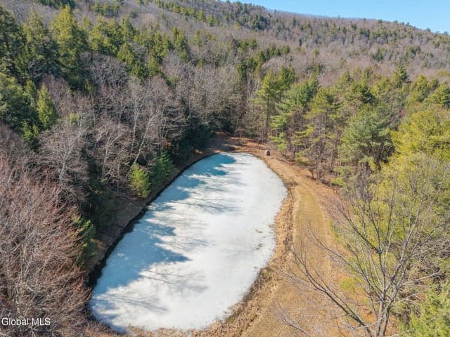 258 Engle Road, Schoharie, NY, photo 4