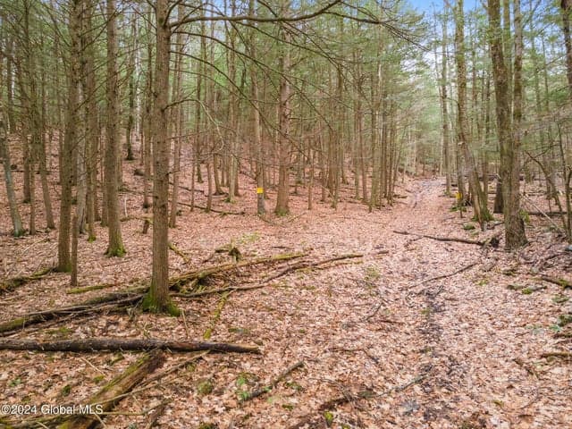 258 Engle Road, Schoharie, NY, photo 5