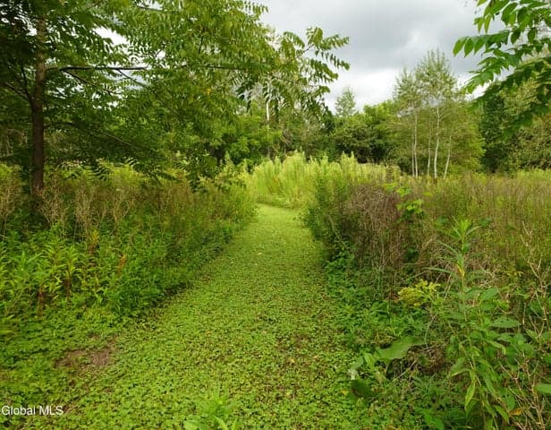 261 Yonderview Road, Copake, NY, photo 5
